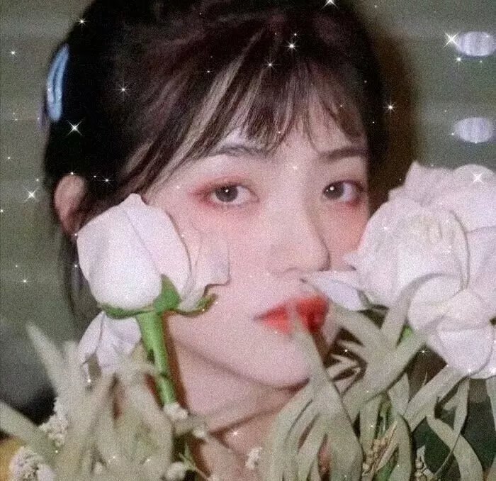 纽约娃娃